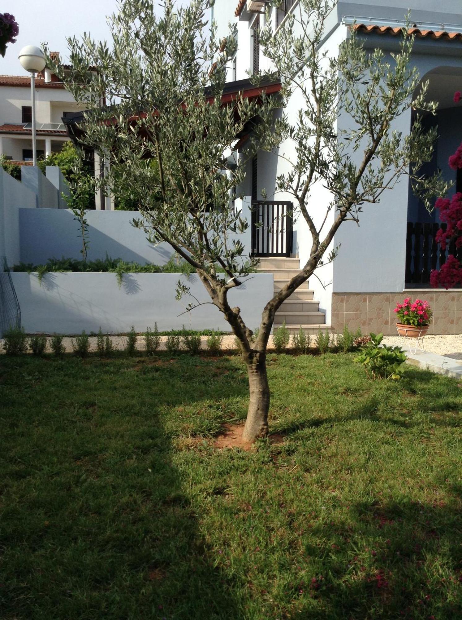 The Blue House Apartamento Vinkuran Exterior foto